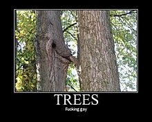 trees.jpg
