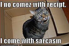 funny-pictures-sacarstic-cat-box.jpg