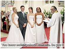 92273691.jpg
