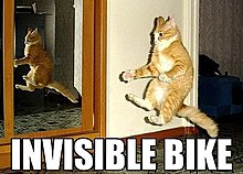 lolcat-invisible-bike.jpg