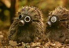 1047147514_d_hedgehog.jpg