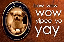 iphone_framecards_bowwow-500x335.jpg
