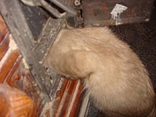 dsc00579.jpg