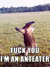 fuckyouimananteater.jpg