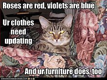 funny-pictures-cat-insults-your-furniture.jpg