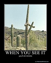 633643774610090249-selfcensorship.jpg