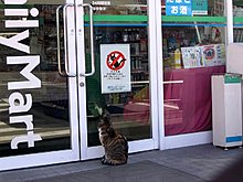nocats2.jpg