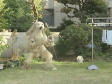tumblr_kzm1cfcdr31qzr2kio1_400.gif