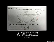 whale.jpg