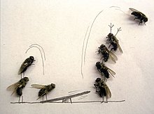 05.jpg