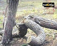 nature-fail.jpg