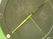 dsc00462.jpg