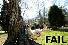 fail_01.jpg