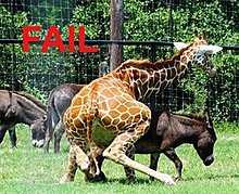 fail_03.jpg