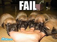 fail_10.jpg
