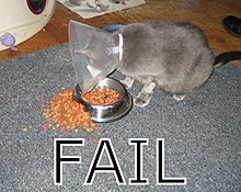 fail_11.jpg