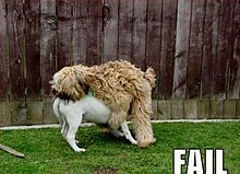 fail_12.jpg