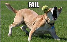 fail_22.jpg
