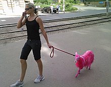 blonda-roz.jpg