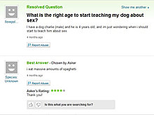 dogsexfood.jpg