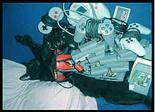slide_7766_103333_large.jpg