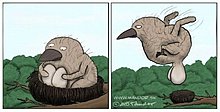 funny_01.jpg