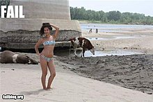 d77c4847-5f33-4014-87dd-d0fc03d6b6d5.jpg