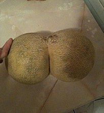 securedownload.jpg