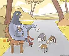 birds.jpg