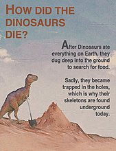 1274067450241.jpg