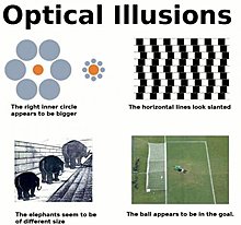 tb7_optical_illusion.jpg