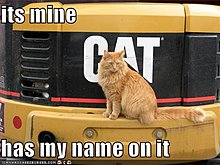 funny-pictures-your-cat-owns-large-truck.jpg