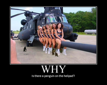 92754077.png