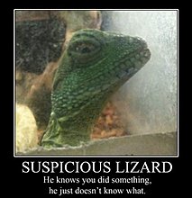 motivated-lol-8.jpg