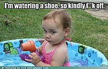 3a8ffd31-f682-403c-9629-7c424cfddf73.jpg