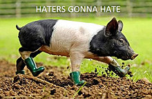 haters23.jpg