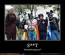 c5c12f75-675d-4f75-a561-f6eb152fa9e7.jpg
