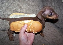 hot_dog_1226412189.jpg