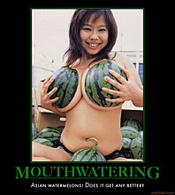 mouthwatering-asian-melons-demotivational-poster-1263408501.jpg