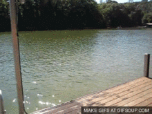 efoza.gif