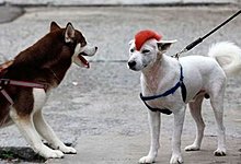 3870.jpg