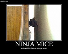 funny_pictures_9199.jpg