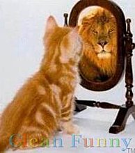 kittenlion.jpg