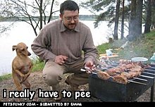 funny-pictures-i-gotta-pee.jpg