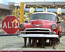 wtf-pics-flintstones.jpg