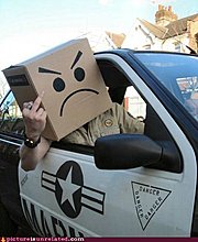 wtf-pics-box-head-cop.jpg