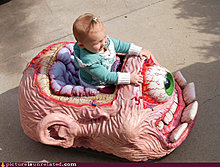 wtf-pics-baby-board.jpg