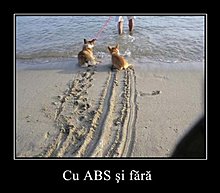 tb7_abs.jpg