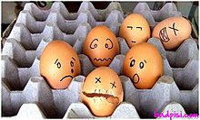 funny-clever-egg-photography-9.jpg