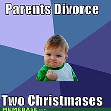 memes-success-kid-divorce1.jpg